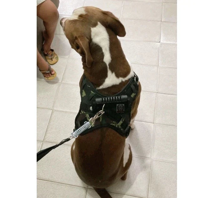 Peitoral Reforçado em Couro para Raças Fortes – Segurança, Durabilidade e Conforto